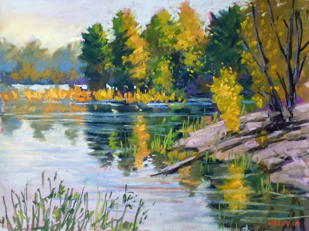 Muskoka Marsh