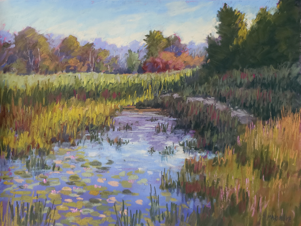 Marsh near Buckhorn