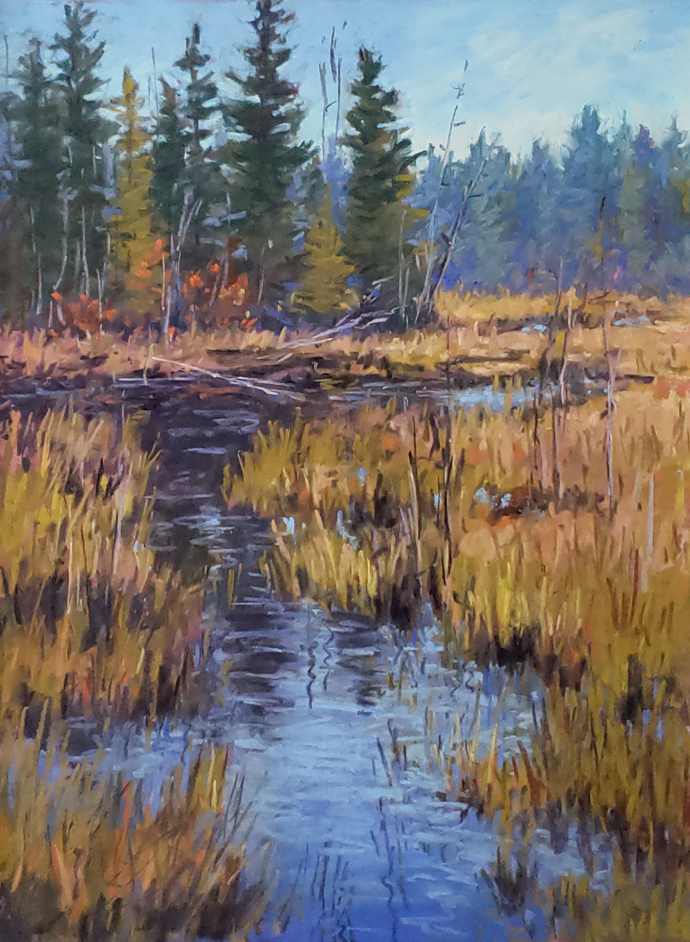 Algonquin Marsh