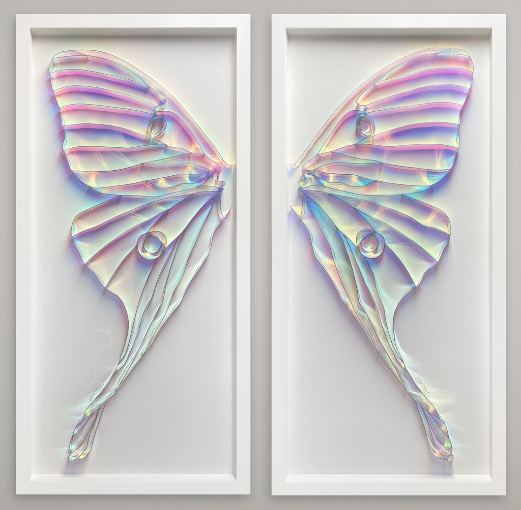 Actias luna L. & R.