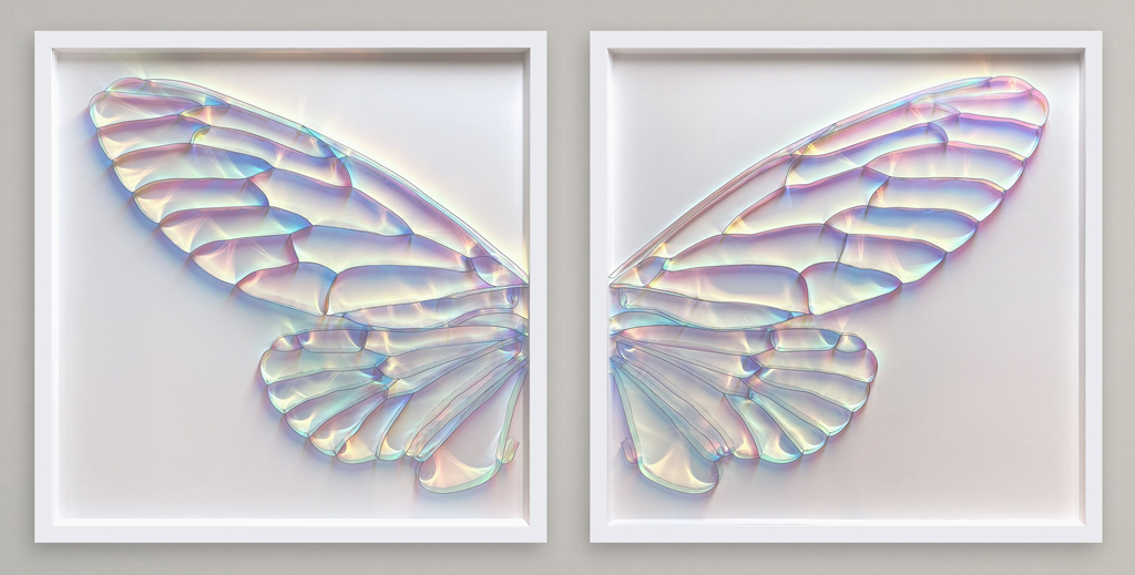3D Cicada wings framed diptych created with holographic vinyl