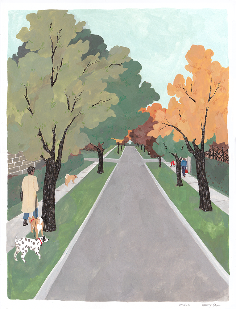 People walking in a bright day, fall-seasoned neighbourhood.