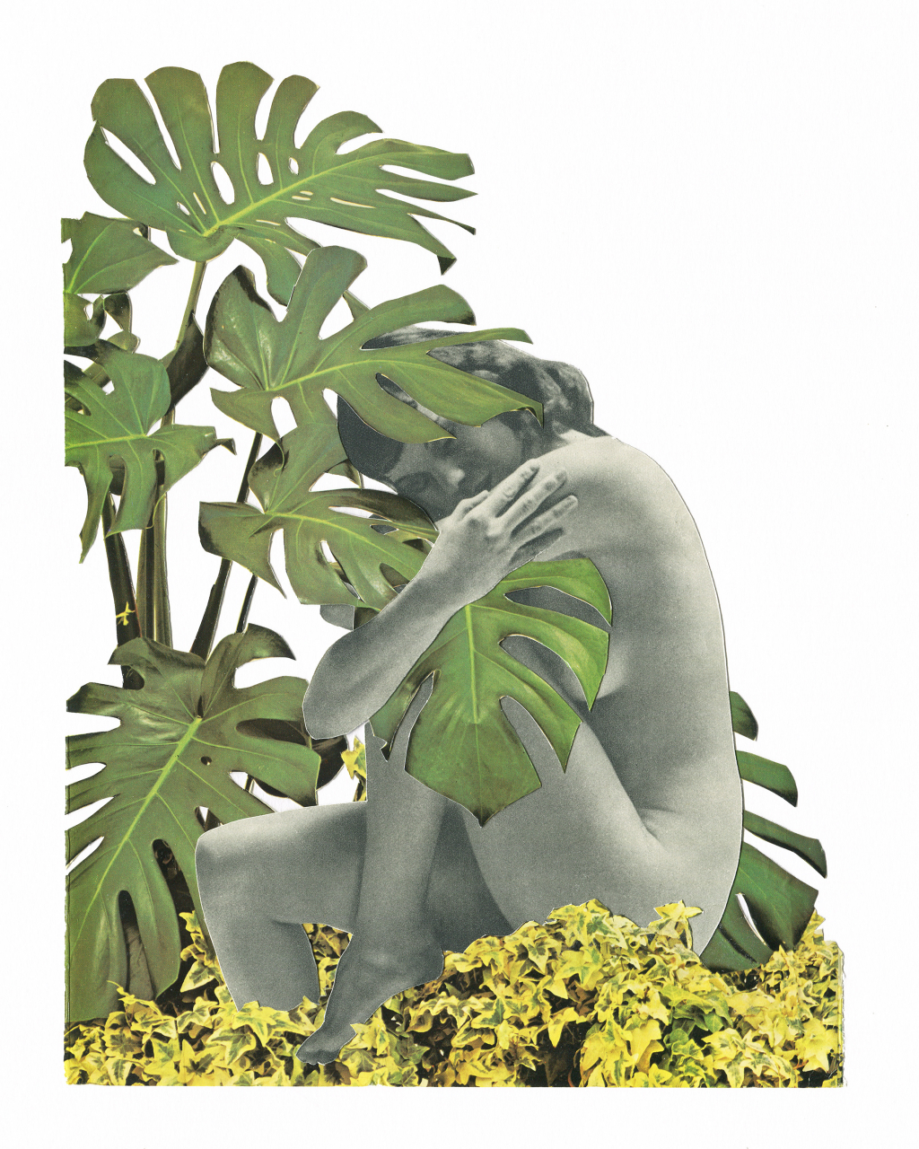 Plant Love