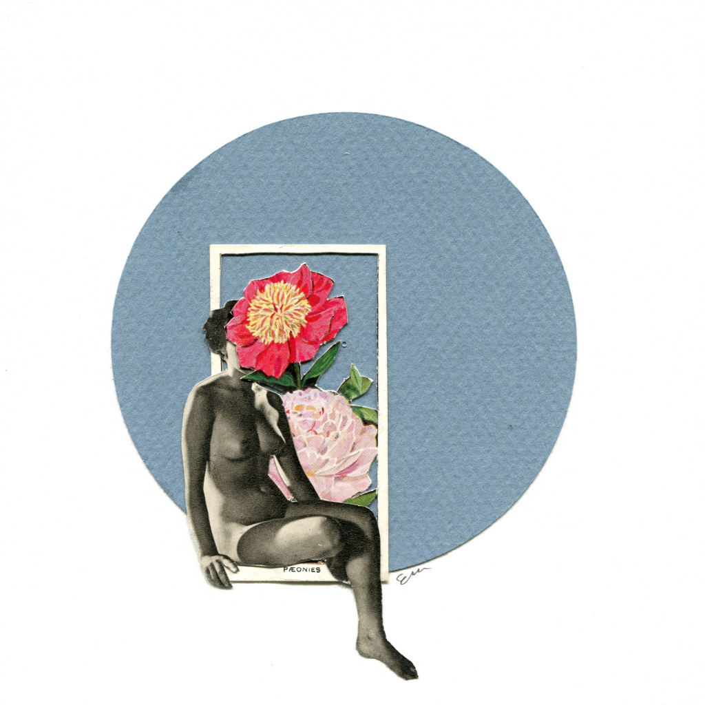 Paeonies