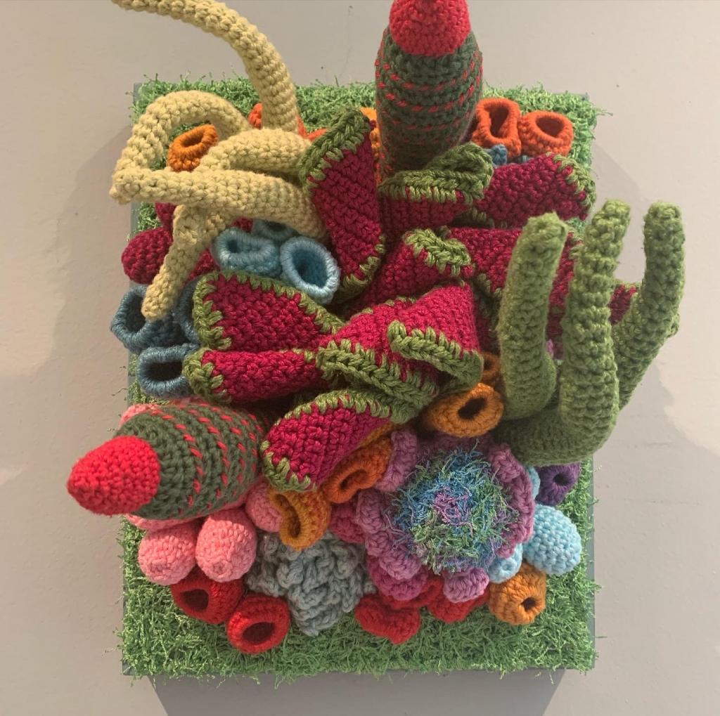 Drought Resistant by Rachelle Soloway