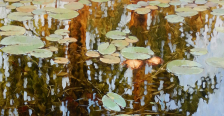app9011_Olena-Lopatina-Swimming-in-a-Lake-2019.20200624122820.jpg