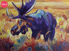 3f656347-3f7d-4b51-a9ac-ea36ebd6b766.png